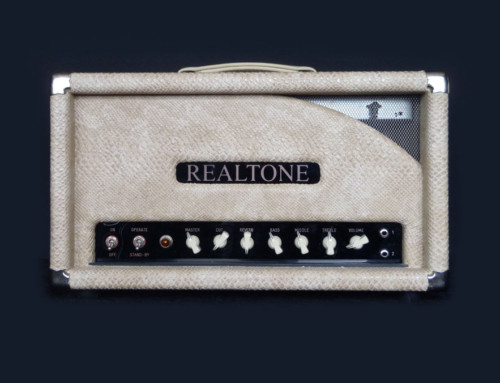 Realtone 18 Watt Head Custom – Snake